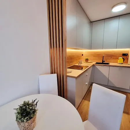 Apartament With Terrace And Free Parking *